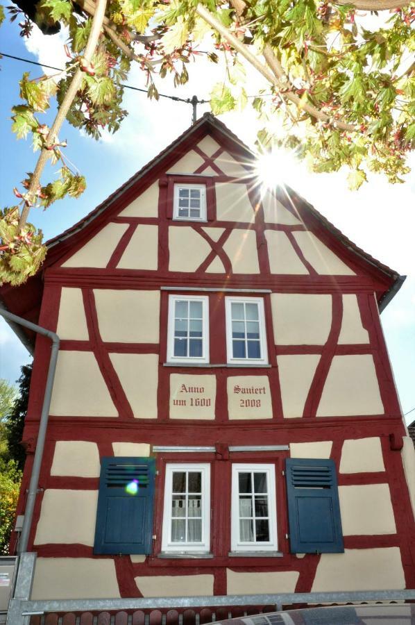 Apartmenthaus Am Zimmerplatz Hofheim am Taunus Zewnętrze zdjęcie