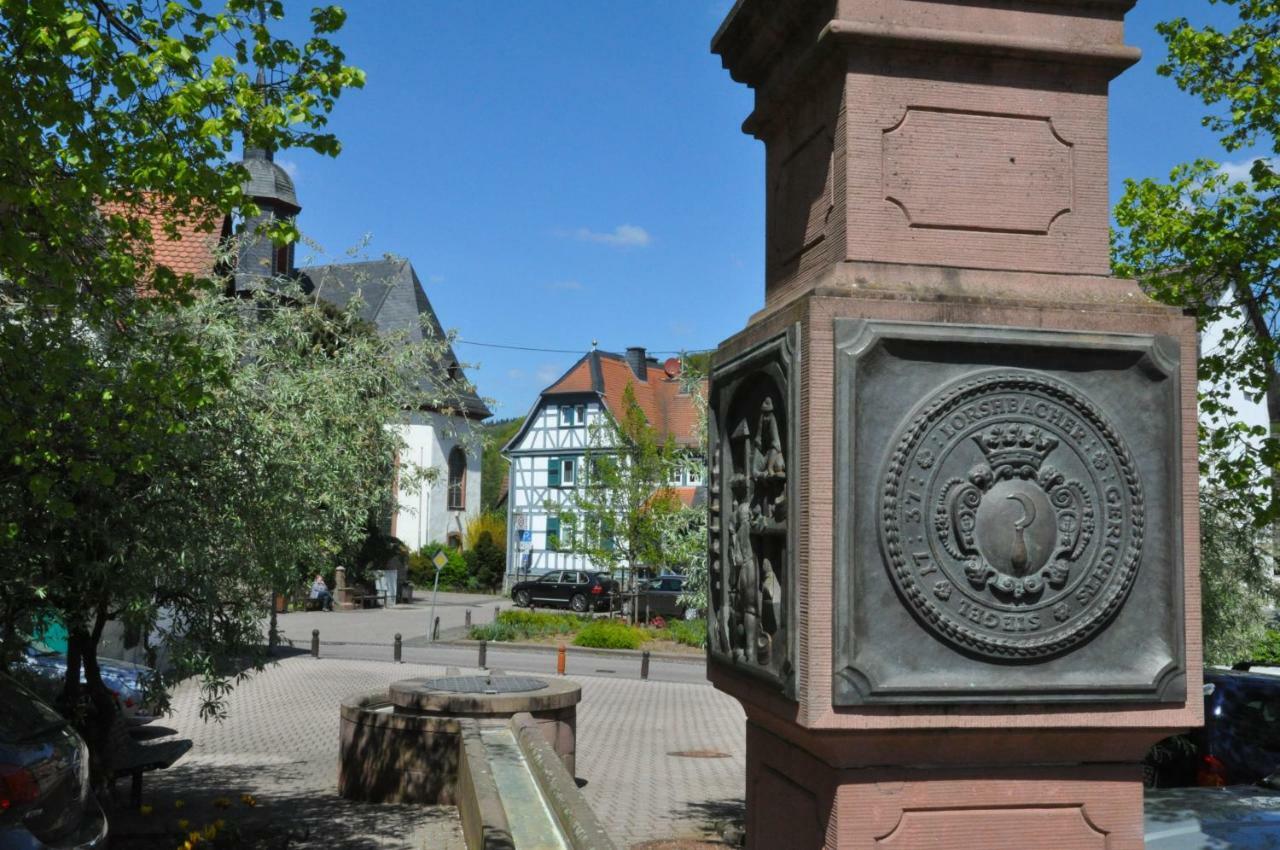 Apartmenthaus Am Zimmerplatz Hofheim am Taunus Zewnętrze zdjęcie